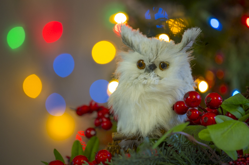 holiday, ornaments, bokah, Christmas, decorations.