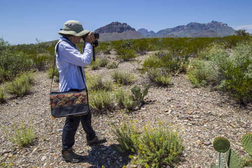 Kathy Adams Clark KAC6785_1