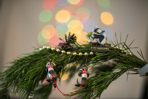 Holiday ornaments, Christmas, raccoons, christmas tree,