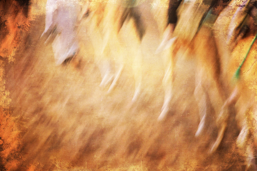 Camel Caravan Morocco KAC7124 texture