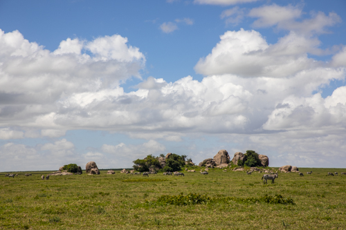 Kopje, Serengeti, Tanzania, Africa.