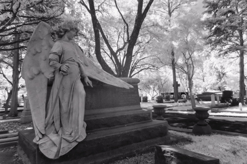 Glenwood Cemetery KAC5886_1