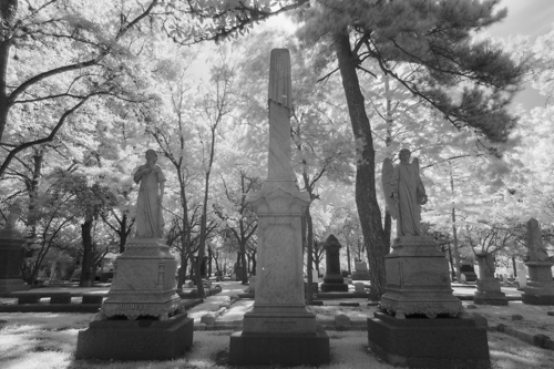 Glenwood Cemetery KAC5888_1